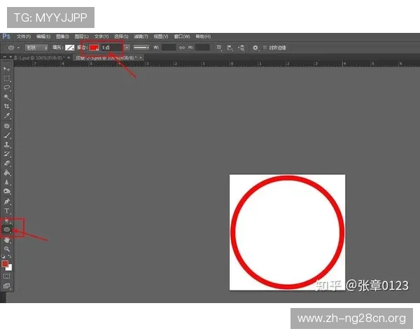 从零开始学习PS电子章制作流程，提升你的电子印章设计与制作效率